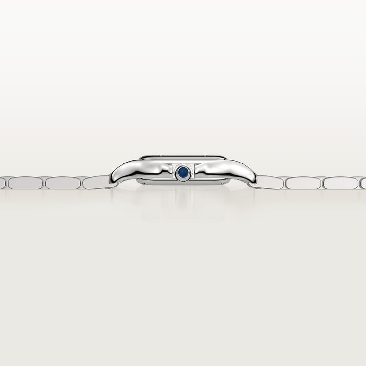 Panthère de Cartier Small 23mm x 30mm Steel Blue Crown Silvered Dial Steel Bracelet Quartz Watch