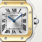 Santos de Cartier Small 34.5mm x 27mm Gold Steel Blue Crown Silver Sunray Dial Steel Bracelet Quartz Watch