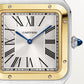 Santos-Dumont Extra-Large 46.6mm x 33.9mm Steel Yellow Gold Silvered Satin-Finish Dial Anthracite Gray Alligator Strap Self-Winding Watch