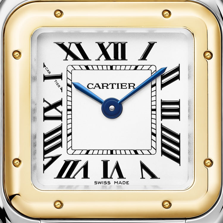 Panthère Small 30.3mm x 22.0mm Yellow Gold and Steel Blue Spinel Crown Silver Dial Gold and Steel Bracelet Quartz Watch