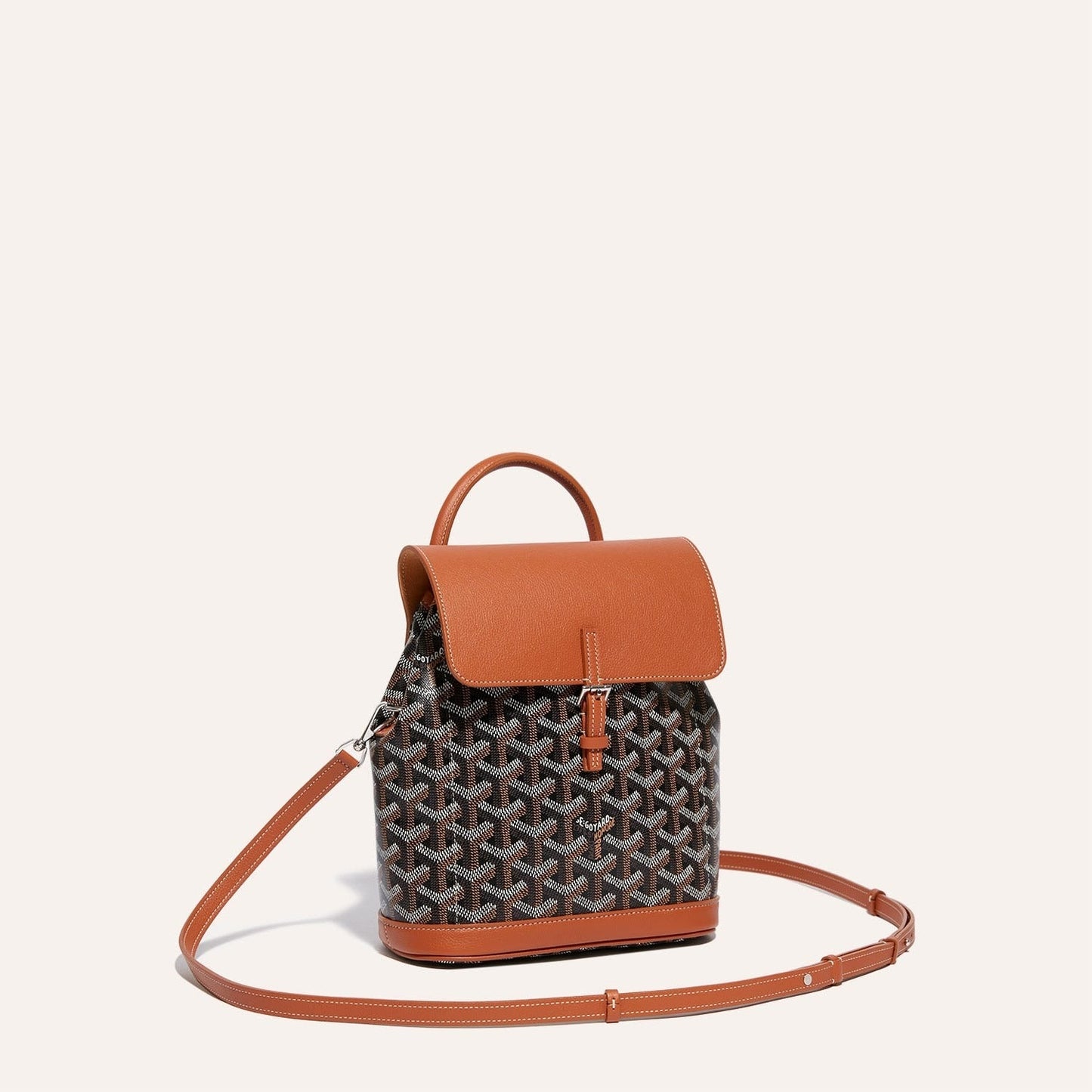 Goyard Alpin Mini Backpack