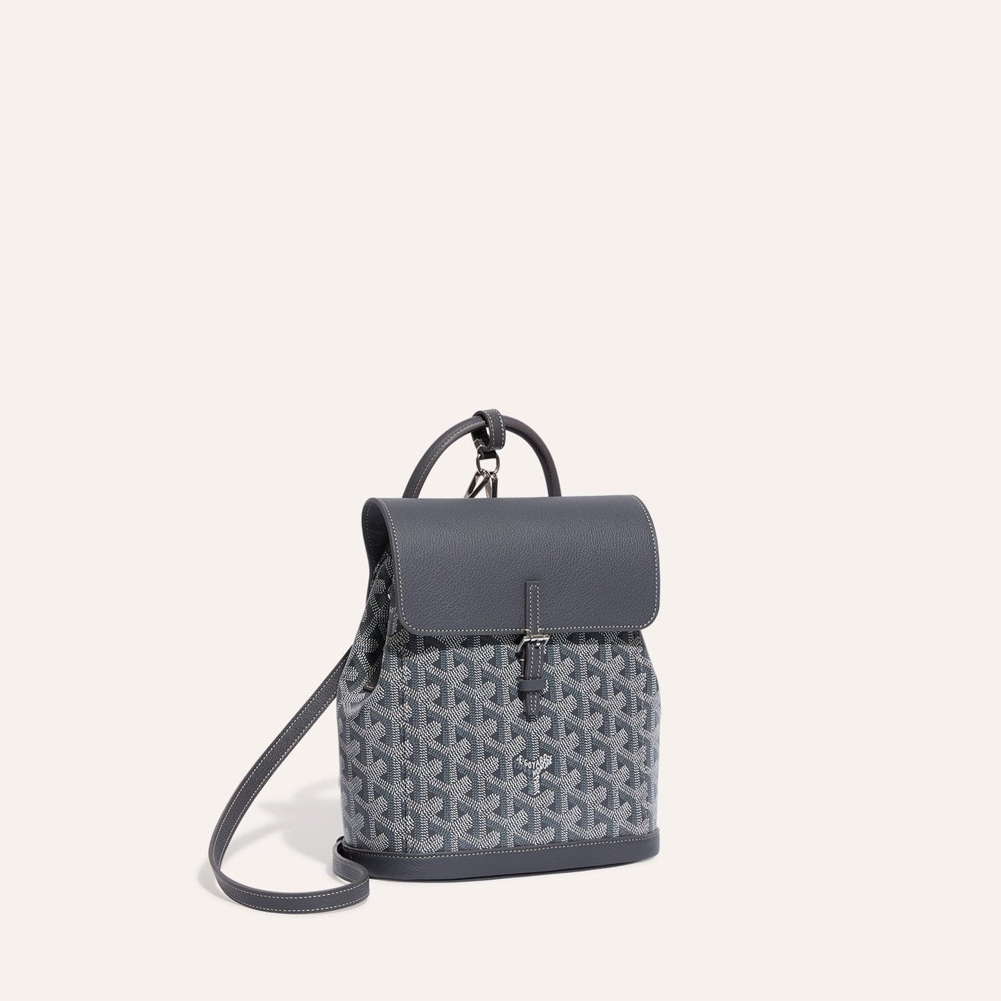 Goyard Alpin Mini Backpack