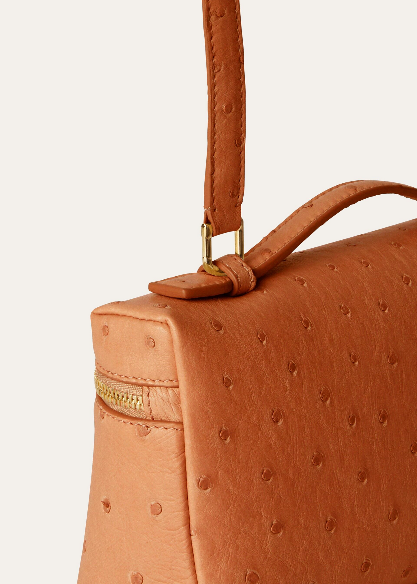 Extra Pocket  Lizard L19