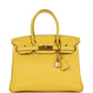Birkin 30 Jaune de Naples Novillo Gold Hardware