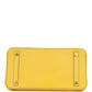 Birkin 30 Jaune de Naples Novillo Gold Hardware