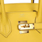 Birkin 30 Jaune de Naples Novillo Gold Hardware