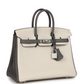 Hermès Special Order (HSS) Birkin 25 Beton and Etain Togo Brushed Palladium Hardware