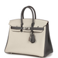 Hermès Special Order (HSS) Birkin 25 Beton and Etain Togo Brushed Palladium Hardware