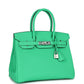 Birkin 30 Vert Comics Togo Palladium Hardware