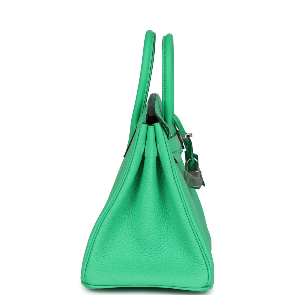 Birkin 25 Vert Comics Togo Palladium Hardware