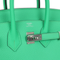 Birkin 25 Vert Comics Togo Palladium Hardware