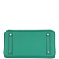Birkin 25 Vert Vertigo Verso Swift Palladium Hardware
