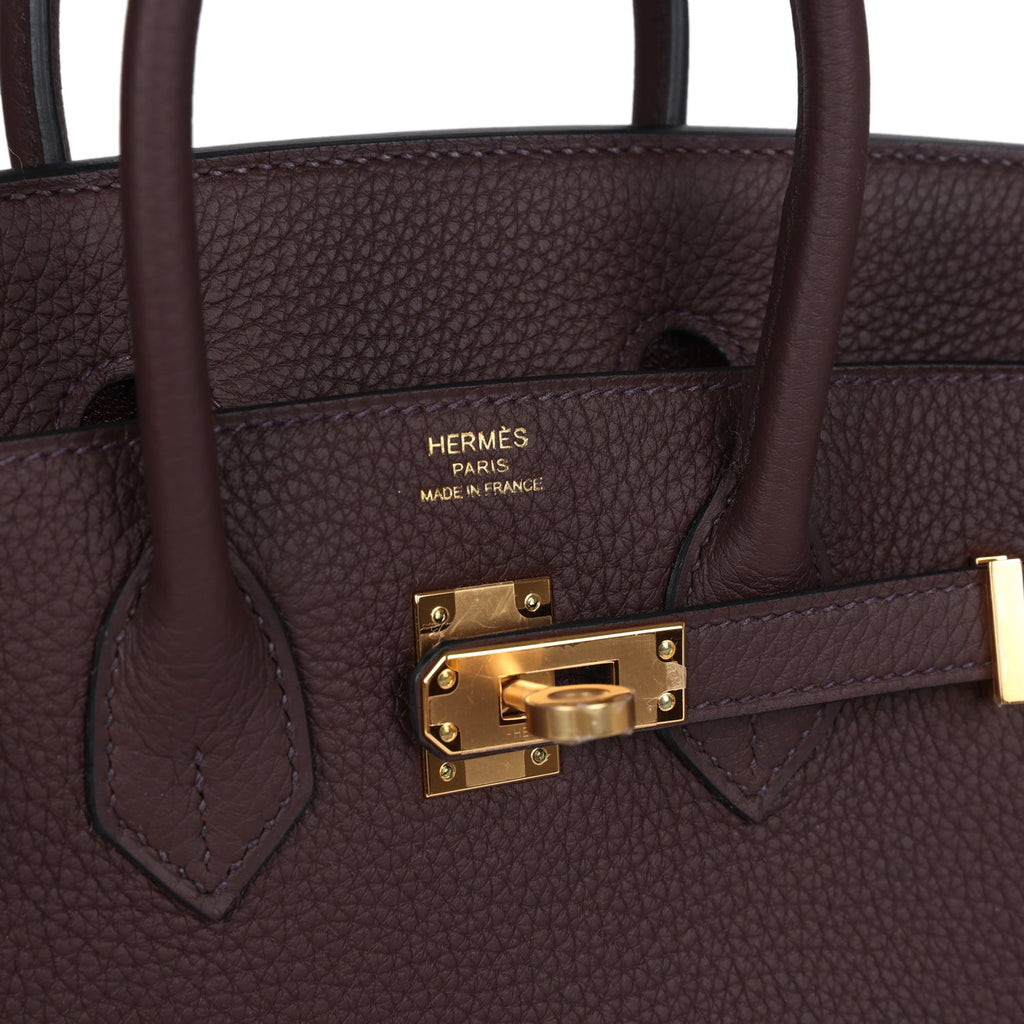 Birkin 25 Rouge Sellier Togo Gold Hardware