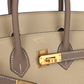 Hermès Special Order (HSS) Birkin 25 Etoupe and Trench Togo Brushed Gold Hardware