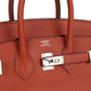 Birkins 25 Cuirve Verso Taurillon Novillo Palladium Hardware
