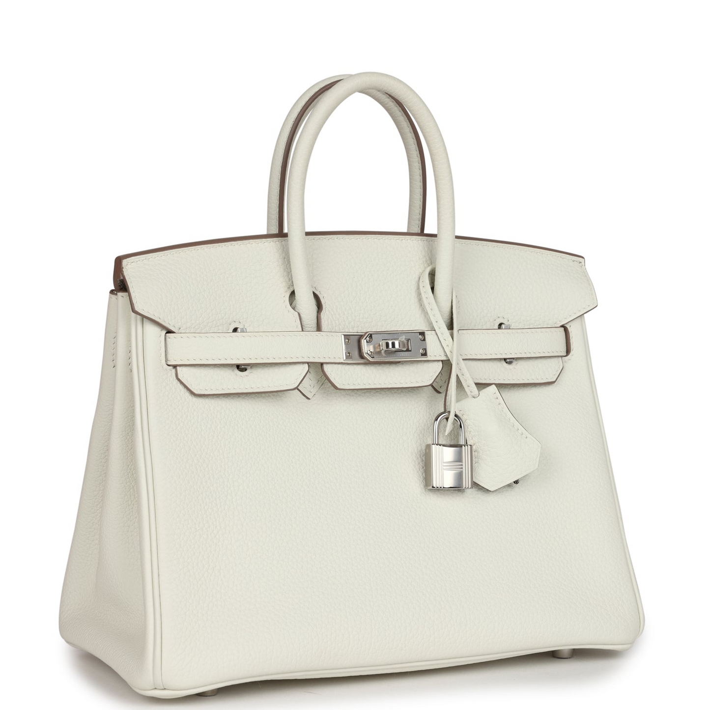Birkin 25 Mushroom Togo Palladium Hardware