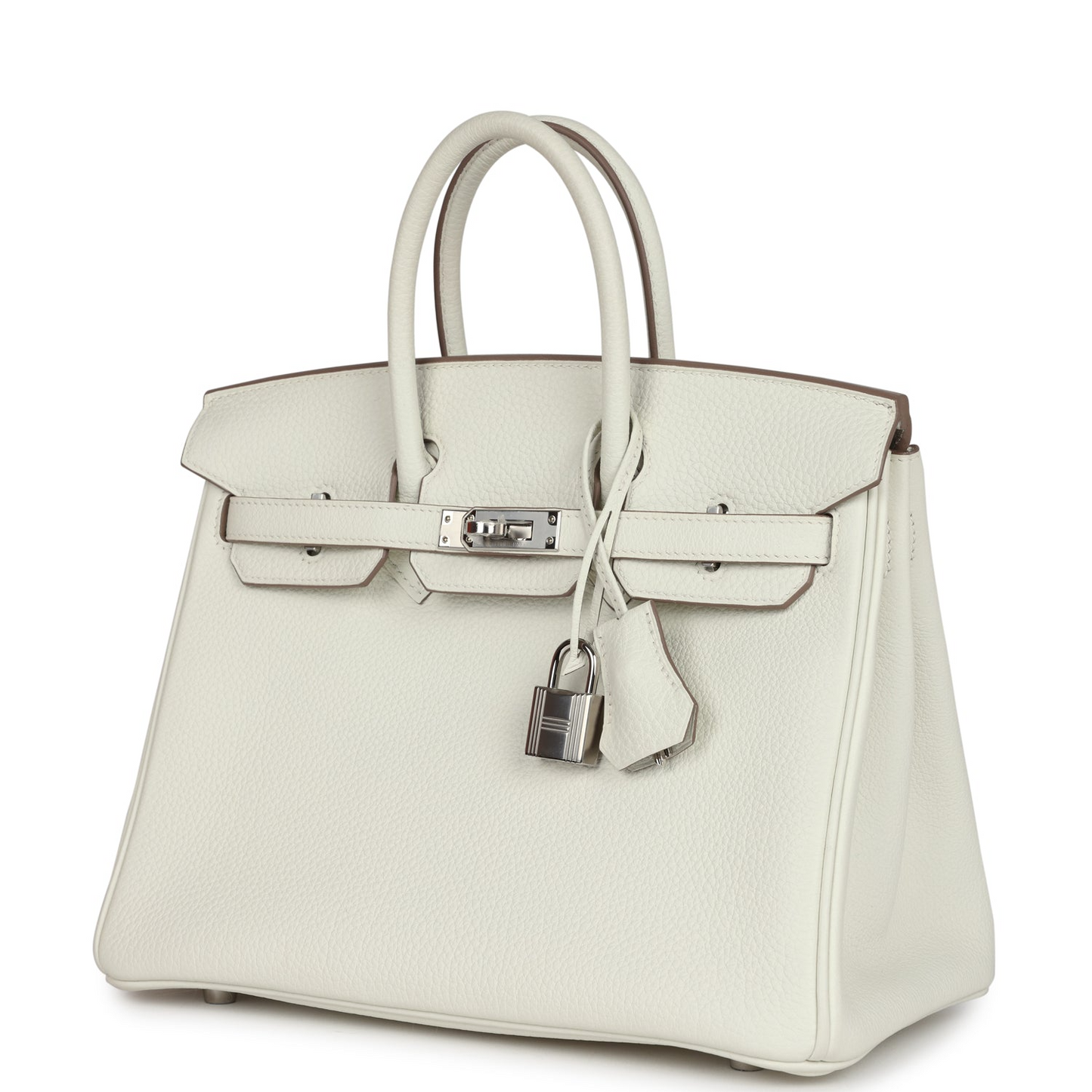 Birkin 25 Mushroom Togo Palladium Hardware