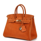Birkin 25 Orange Doblis Gold Hardware