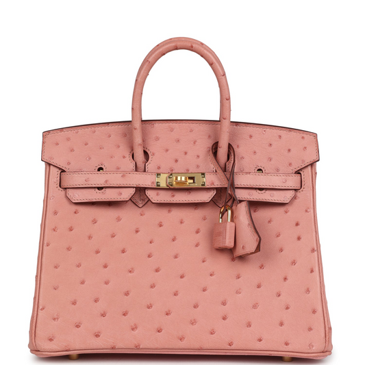 Birkin 25 Terre Cuite Ostrich Gold Hardware
