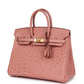 Birkin 25 Terre Cuite Ostrich Gold Hardware