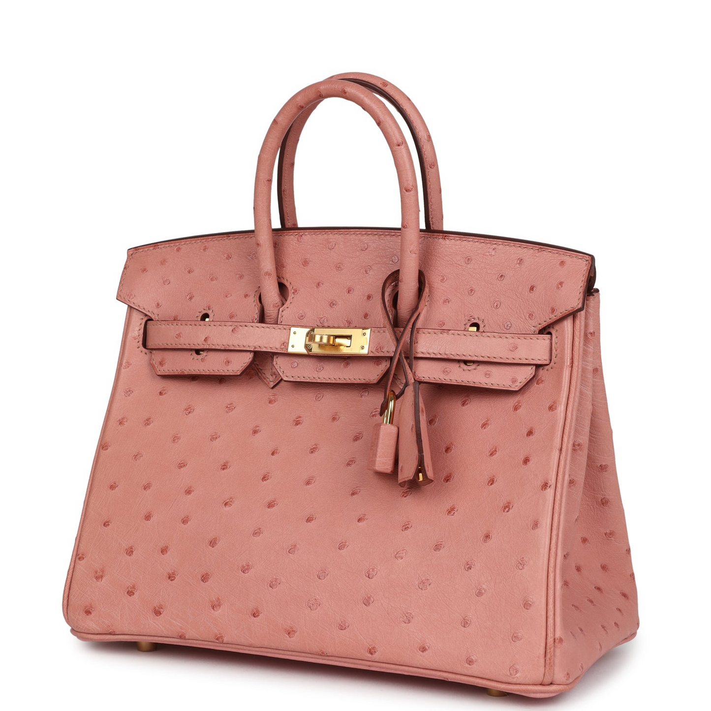 Birkin 25 Terre Cuite Ostrich Gold Hardware