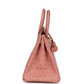 Birkin 25 Terre Cuite Ostrich Gold Hardware