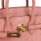 Birkin 25 Terre Cuite Ostrich Gold Hardware