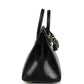 Birkin Sellier 20 Black Varanus Niloticus Lizard Gold Hardware