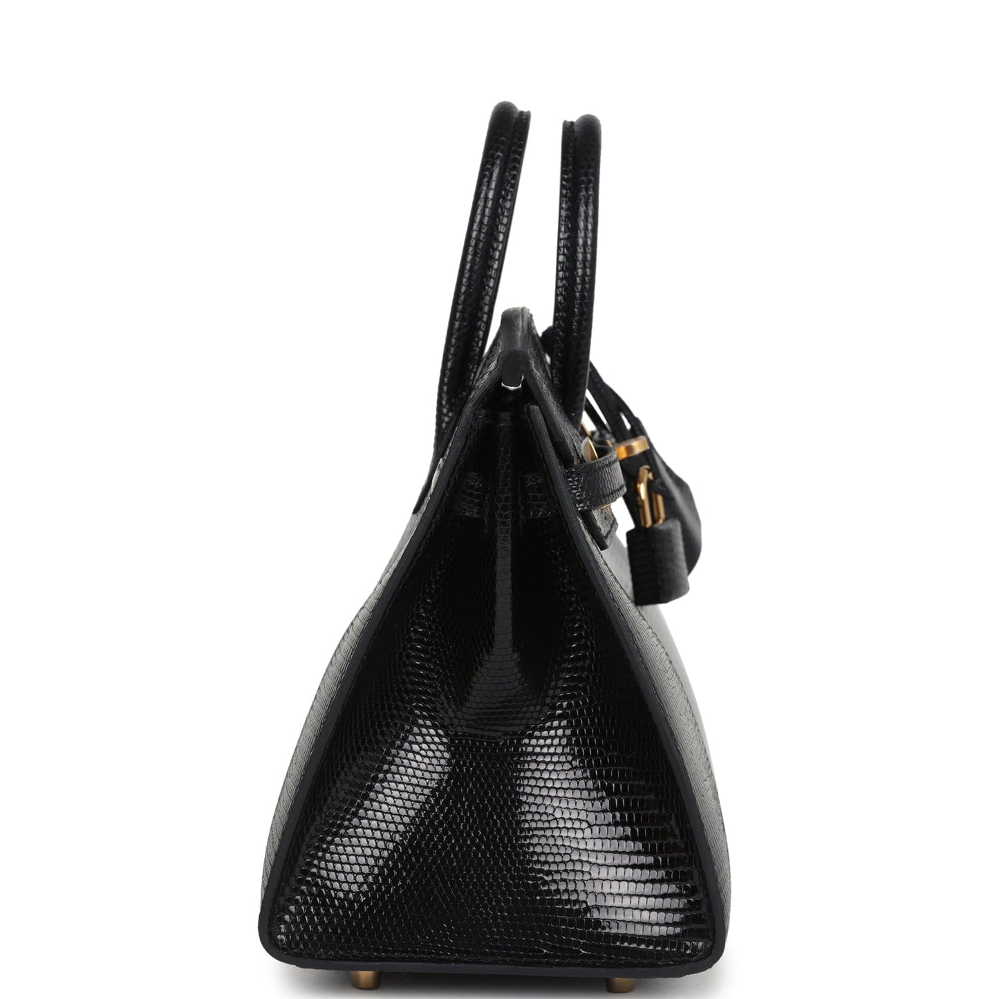 Birkin Sellier 20 Black Varanus Niloticus Lizard Gold Hardware