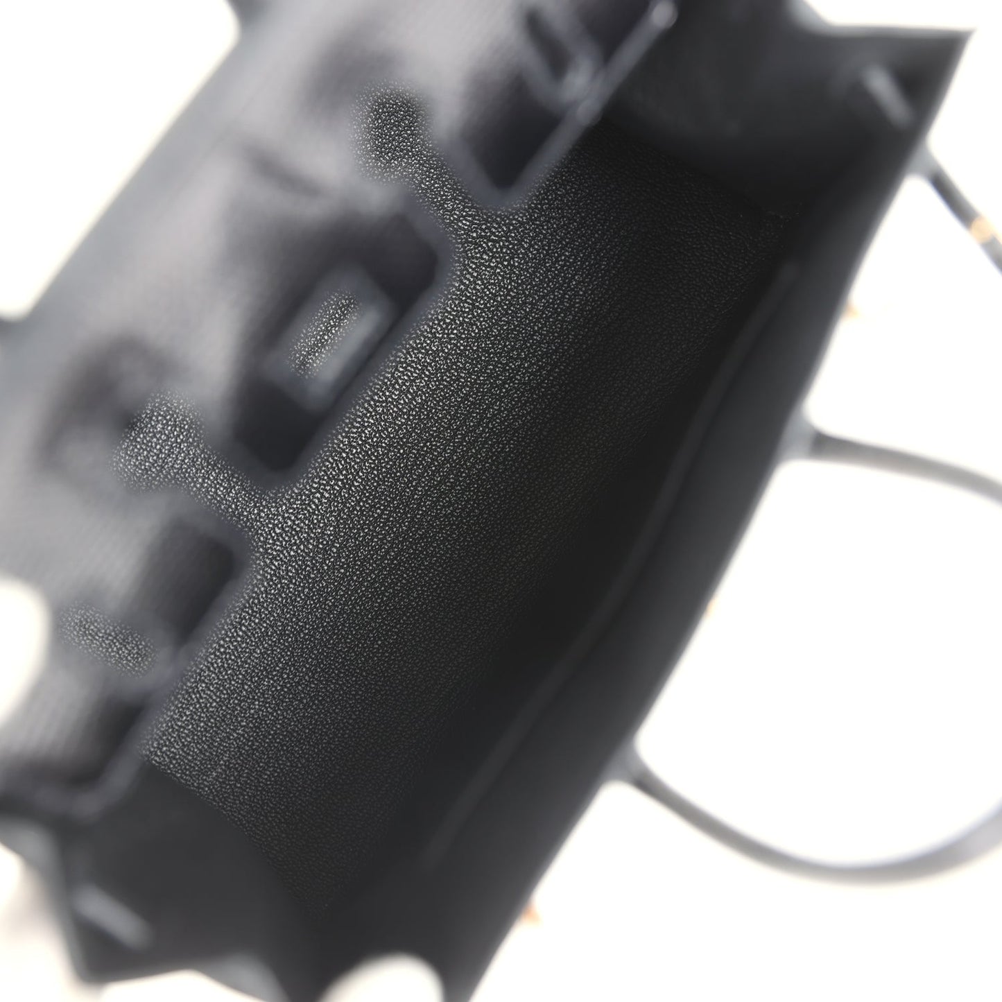 Birkin Sellier 20 Black Varanus Niloticus Lizard Gold Hardware