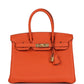 Birkin 30 Feu Togo Gold Hardware