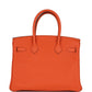 Birkin 30 Feu Togo Gold Hardware