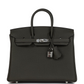 Birkins 25 Vert de Gris Togo Palladium Hardware
