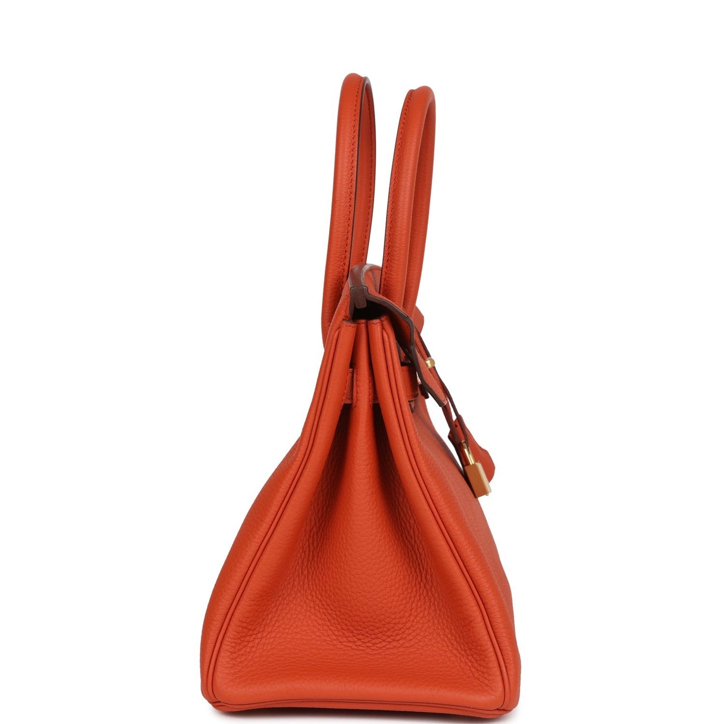 Birkin 30 Terre Battue Togo Gold Hardware