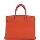 Birkin 30 Terre Battue Togo Gold Hardware
