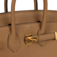 Birkins 25 Chai Togo Gold Hardware
