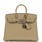 Birkin 25 Trench Verso Togo Palladium Hardware