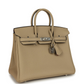 Birkin 25 Trench Verso Togo Palladium Hardware