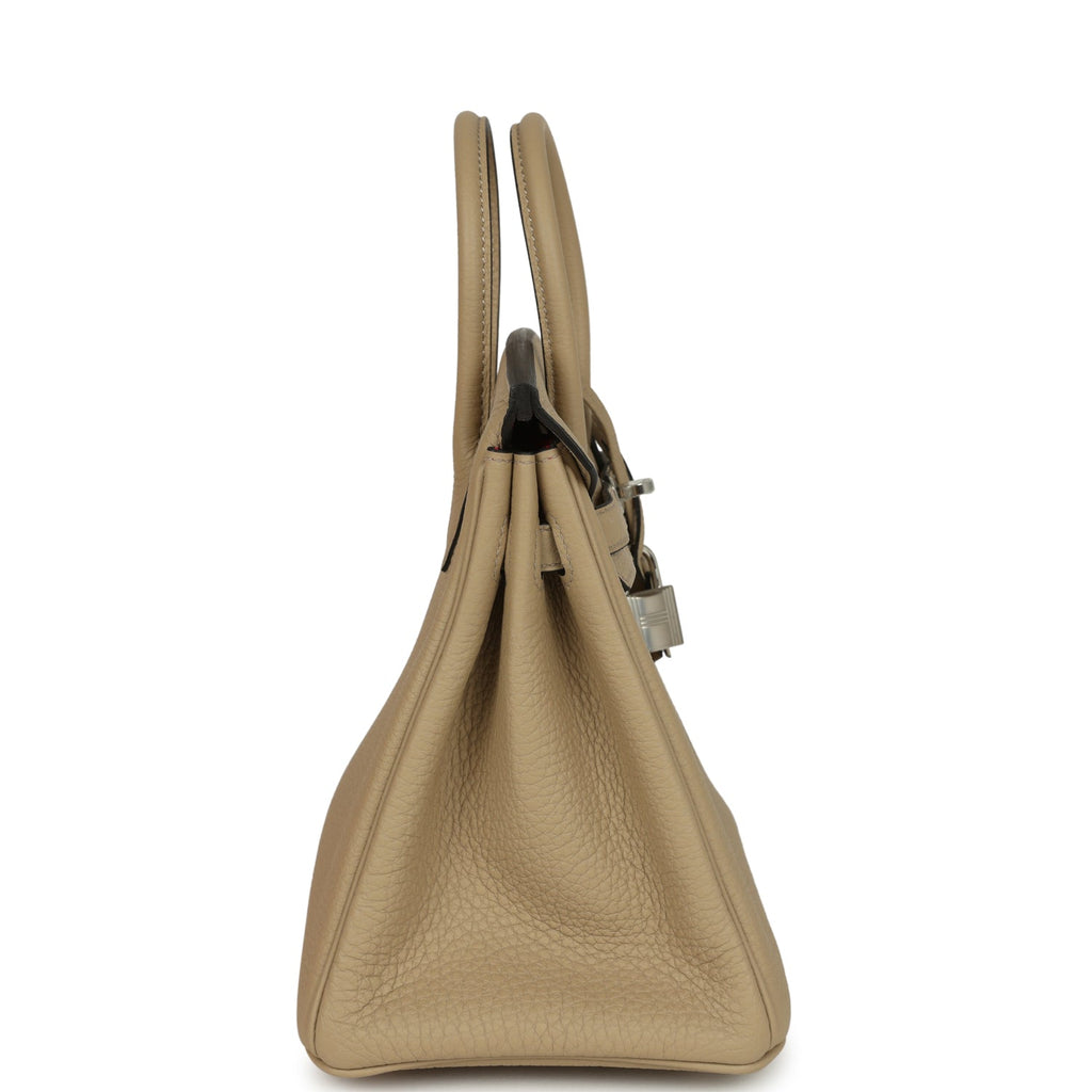 Birkin 25 Trench Verso Togo Palladium Hardware