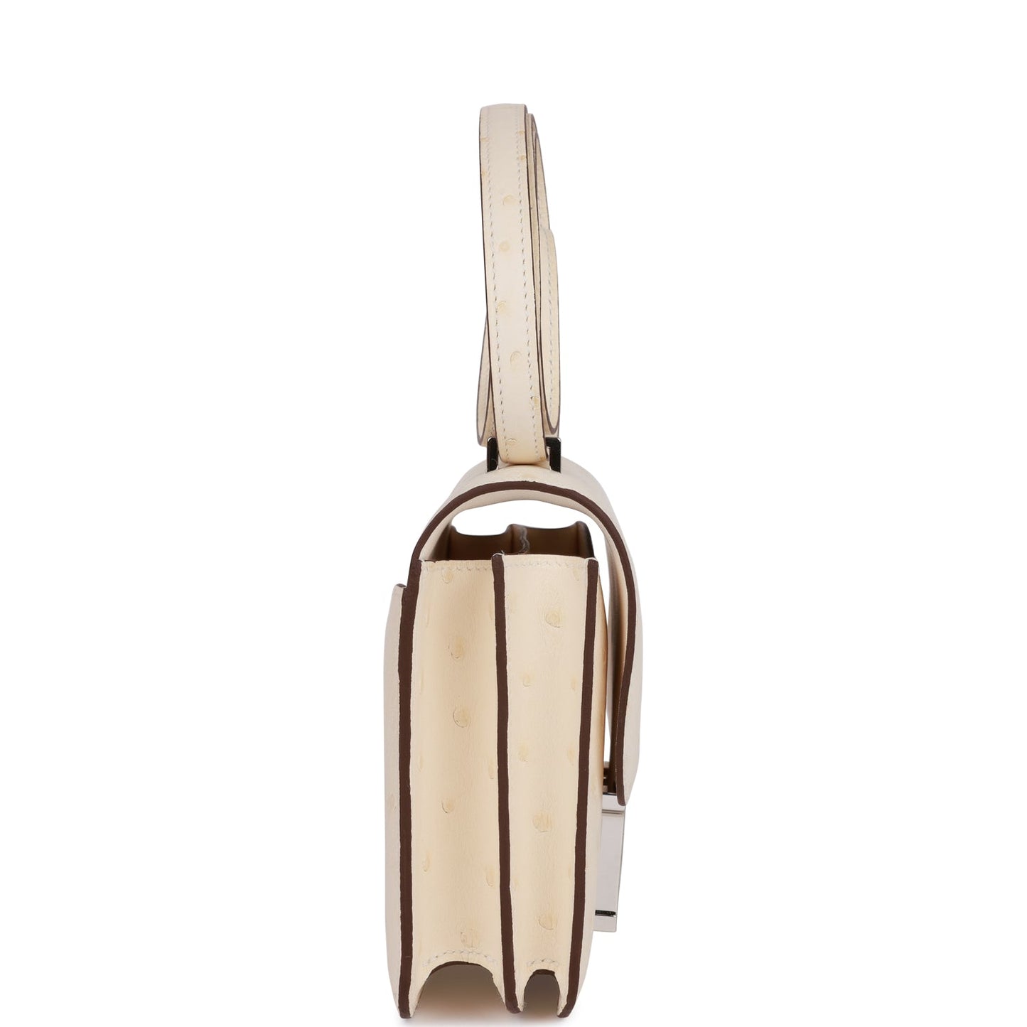 Constance 18 Nata Ostrich Palladium Hardware