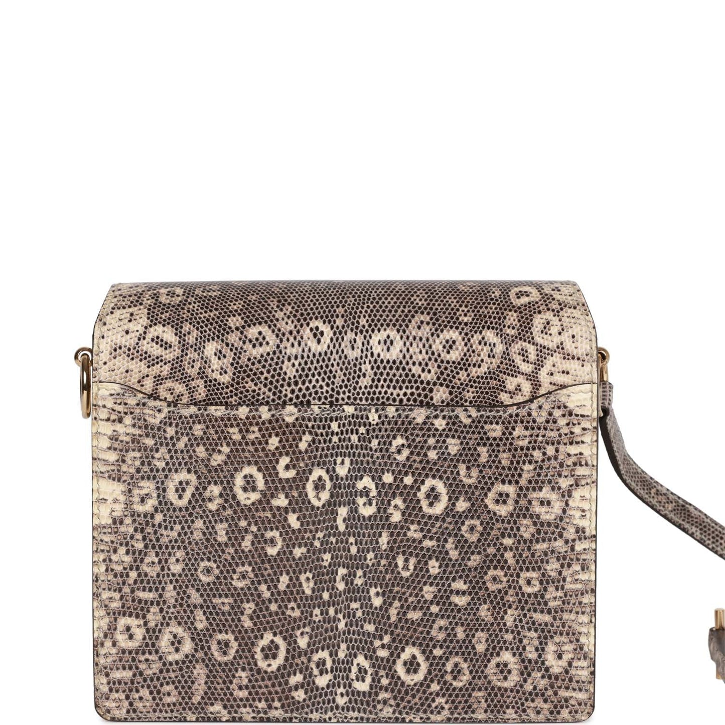 Mini Sac Roulis Ombre Lizard Varanus Salvator Gold Hardware