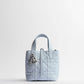 Small Dior Toujours Vertical Tote Bag 2026