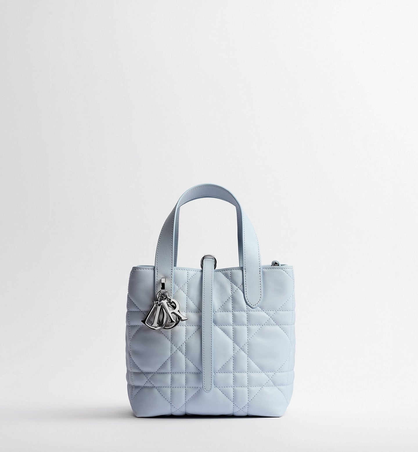 Small Dior Toujours Vertical Tote Bag 2026