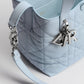 Small Dior Toujours Vertical Tote Bag 2026
