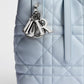 Small Dior Toujours Vertical Tote Bag 2026