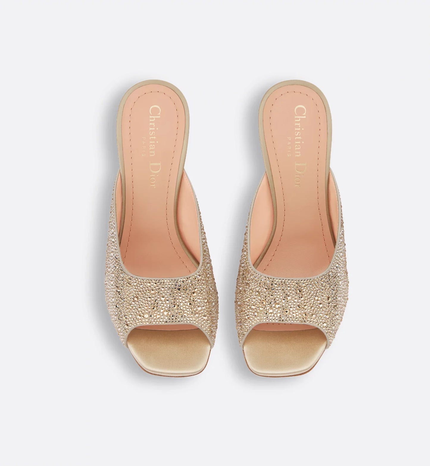 Dior Or Dior Tribales Heeled Slide