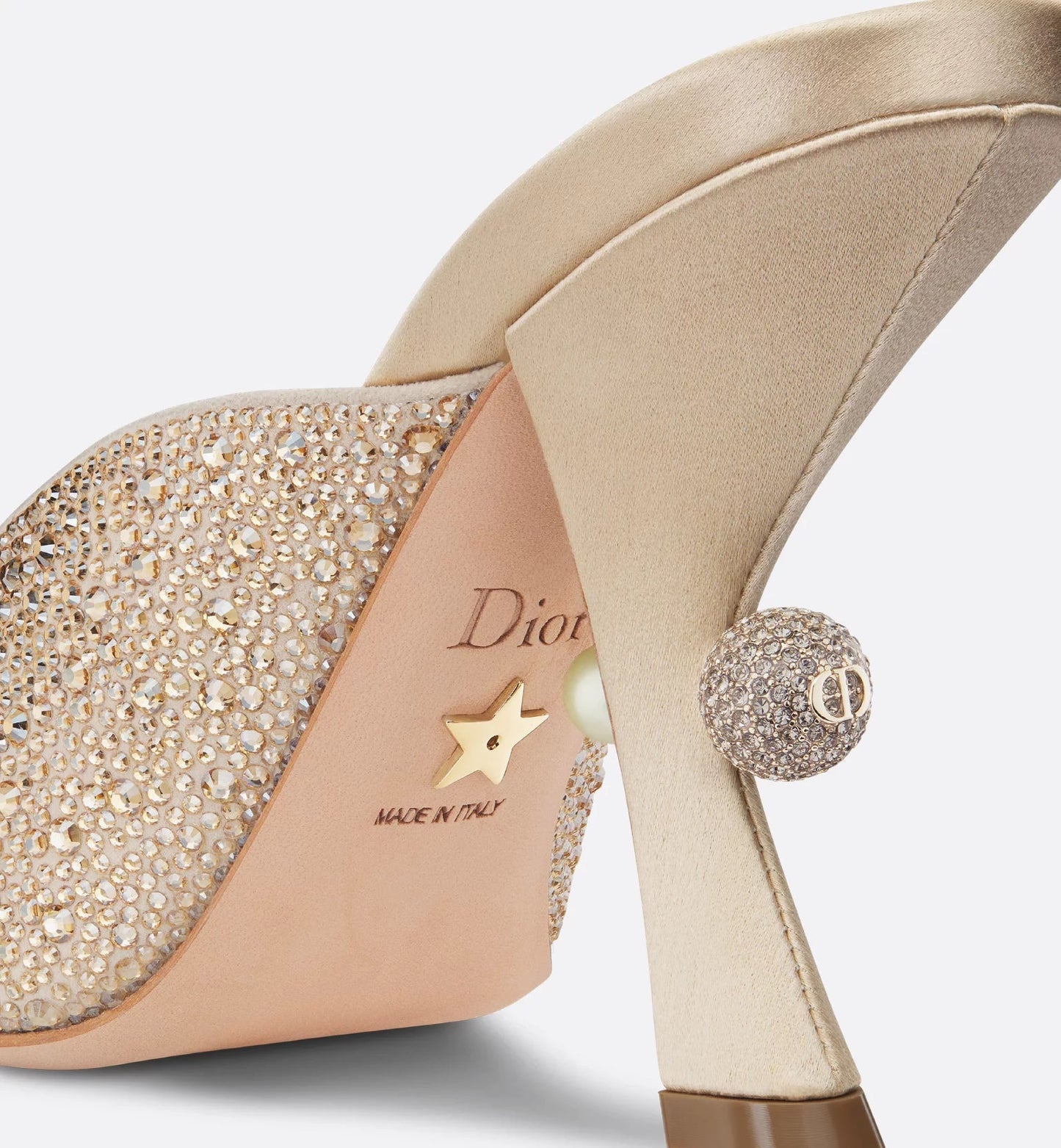 Dior Or Dior Tribales Heeled Slide