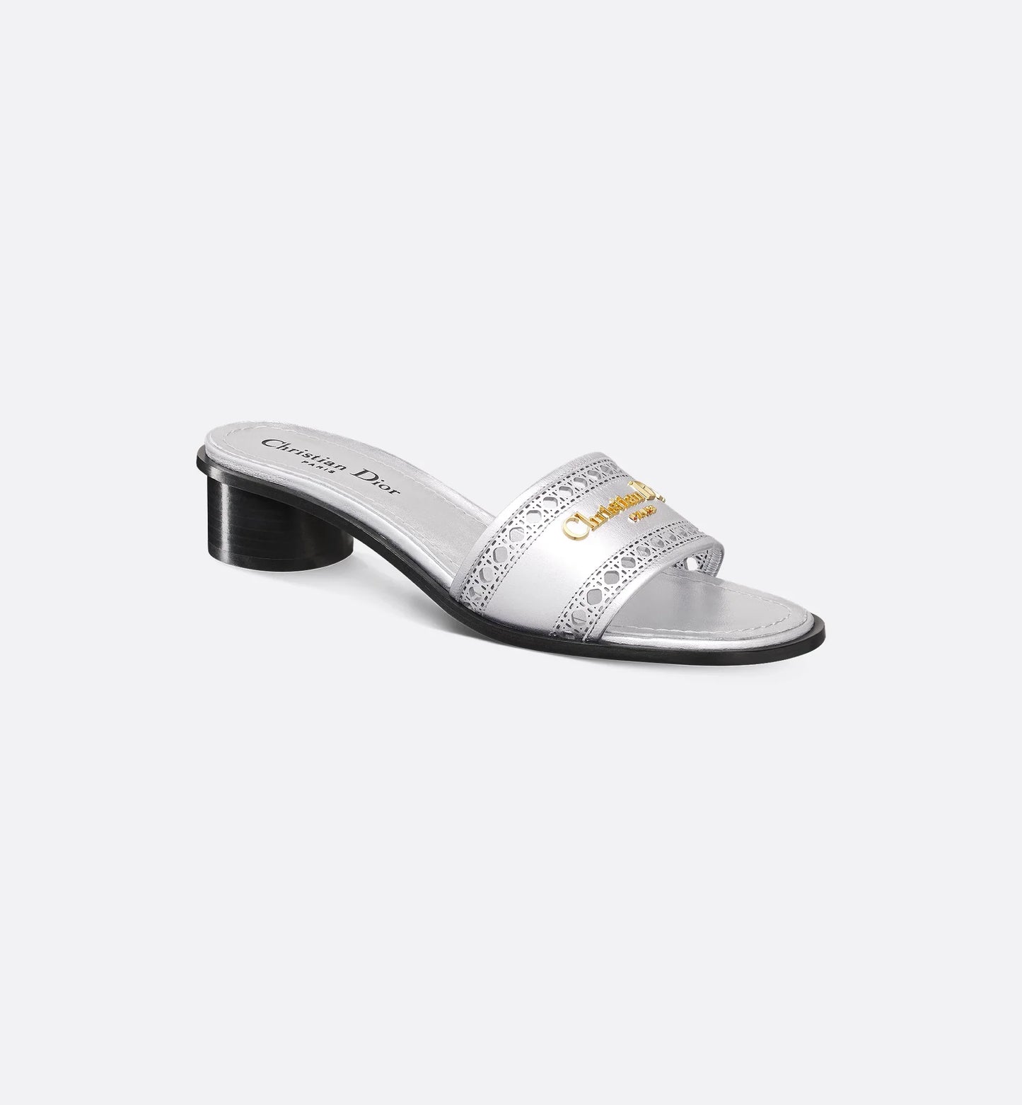 Dior Or D-Lane Heeled Slide