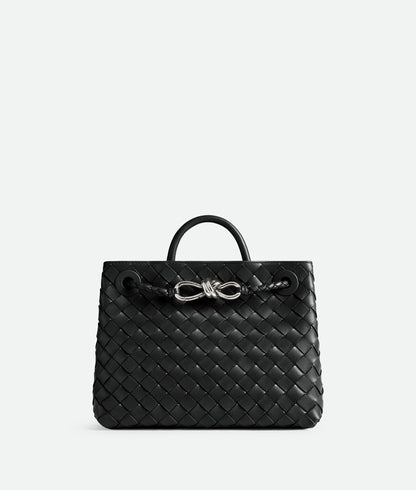 Bottega Veneta Small Andiamo