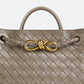 Bottega Veneta Small Andiamo